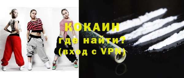 твердый Новодвинск