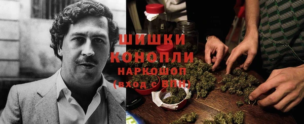 соль ск Алзамай
