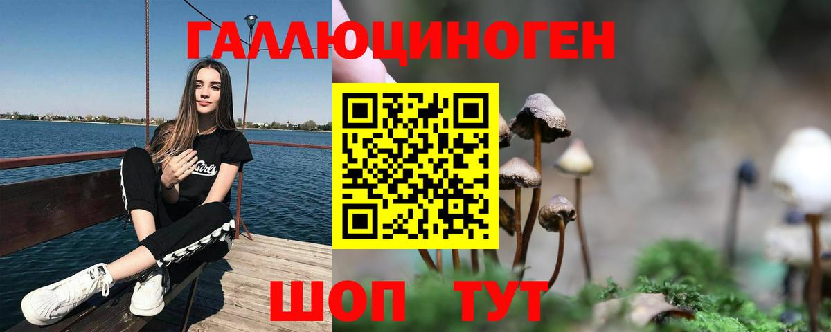 Ижевск  Псилоцибиновые грибы GOLDEN TEACHER  Вход с VPN 